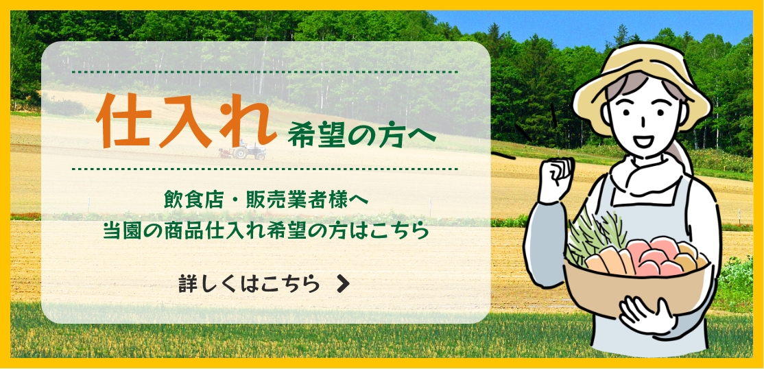 仕入れ希望の方へ