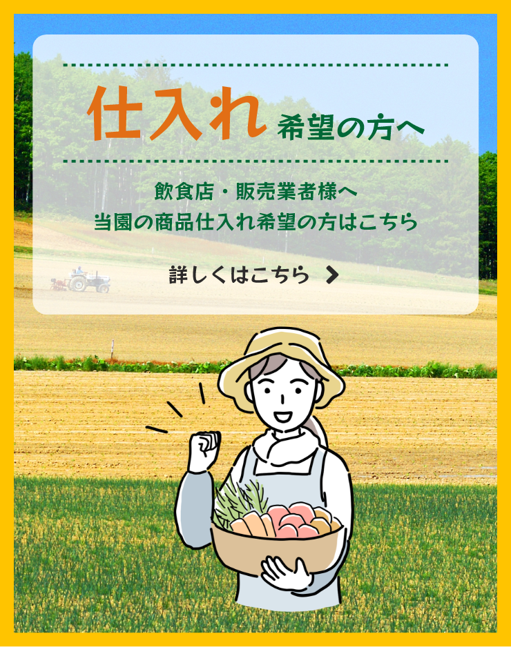 仕入れ希望の方へ