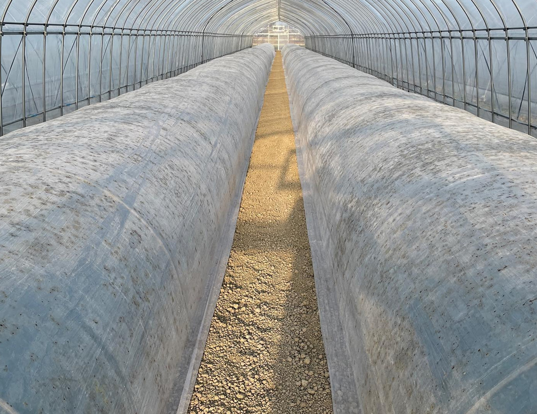 ビニールハウス