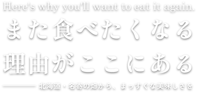 また食べたくなる理由がここにある
