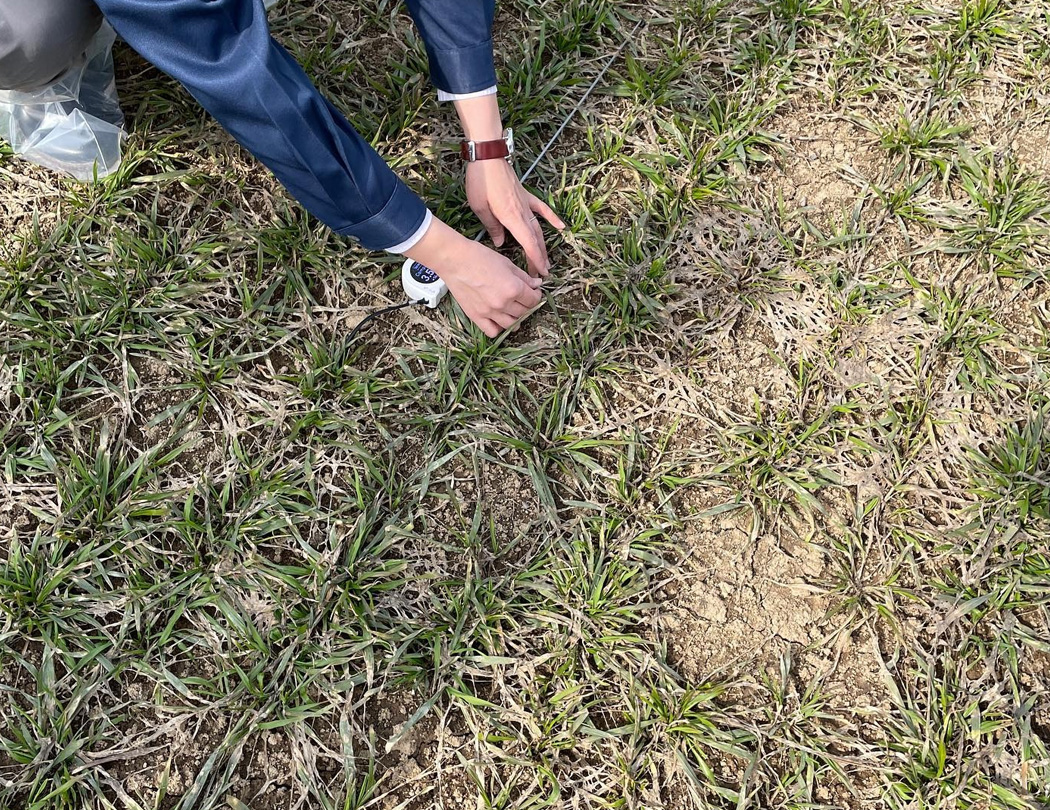 生育状況の確認